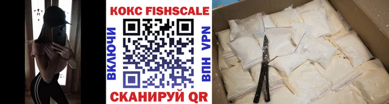 где купить наркоту  Великий Устюг  hydra ONION  Cocaine Fish Scale 