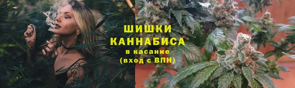 ГАЛЛЮЦИНОГЕННЫЕ ГРИБЫ Белоозёрский