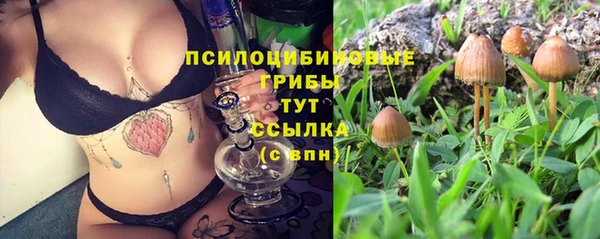 a pvp Беломорск