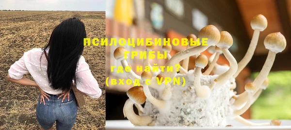 2c-b Белокуриха