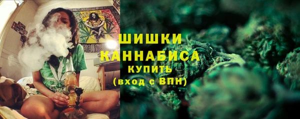 ГАЛЛЮЦИНОГЕННЫЕ ГРИБЫ Белоозёрский
